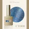 ARTiS di Voce 亮粉甲油膠8g CT008