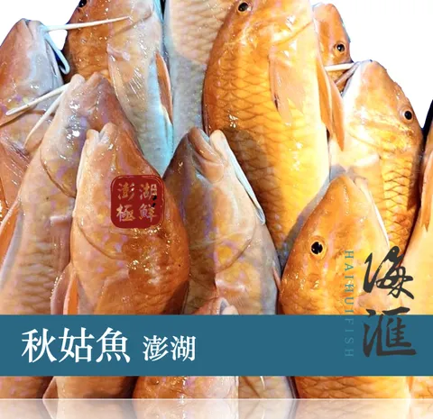 秋姑魚