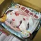【福興鄉農會】人蔘糯米雞(2300克/盒)(冷凍含運)