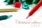 TRINUS花色鉛筆 Christmas edition（附削鉛筆器）