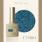 ARTiS di Voce 亮粉甲油膠8g CT080
