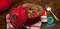 Le Creuset 鑄鐵愛心鍋 櫻桃紅 20cm