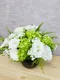 B2-45│鮮花桌花│新北市花店│蘆洲花店│婚禮布置│開幕花禮│喬遷花禮│榮任花禮│升遷花禮│訂花│送花