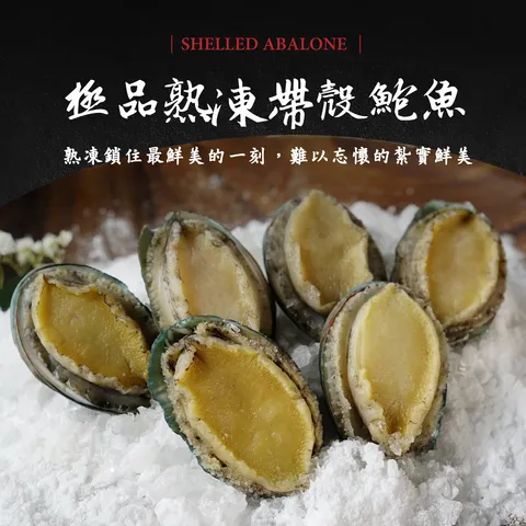 極品熟凍帶殼鮑魚 250g 10g 份