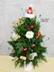 A9-11│聖誕樹│新北市花店│蘆洲花店│送禮盆栽│訂花│送花