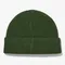 THE NORTH FACE BIG LOGO BEANIE 大LOGO毛帽 NE3BP52