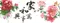 家和萬事興（吉祥牡丹）
