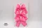 糖霜樂章蝴蝶結(PR154-1-PTM064/Frosting Melody Bow) ｜點點｜粉色｜手作｜布置｜春天｜緞帶用途｜髮飾｜復活節