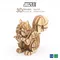 JIGZLE ® 3D-木拼圖 - 松鼠
