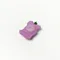 Dinotaeng -Clog Buttonz Set！組合鞋扣！