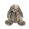 Jellycat  67cm 棉尾兔 Cottontail