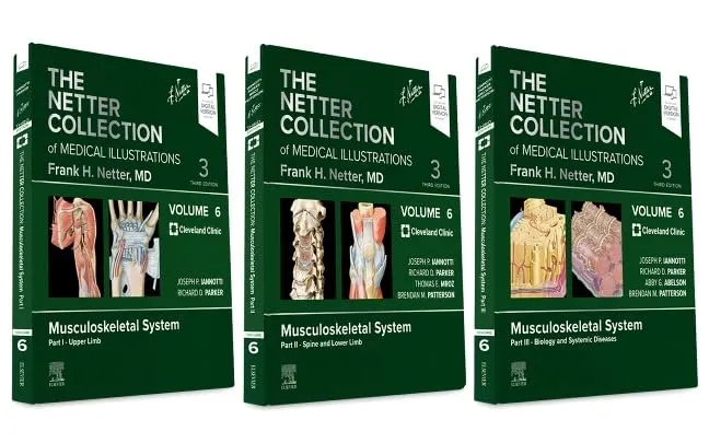 The Netter Collection of Medical Illustrations Volume 6