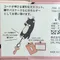 【 現貨 】日本爆紅🇯🇵LivHeart 被抓住脖子的貓 伸縮夾 / 小包包 吊飾鑰匙圈