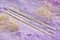 超光生命之花金星玫瑰999純「銀筷」