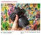 SAMYANG 三陽光學 AF 50mm F1.4 FE II 二代 FOR SONY E-Mount 自動對焦鏡頭