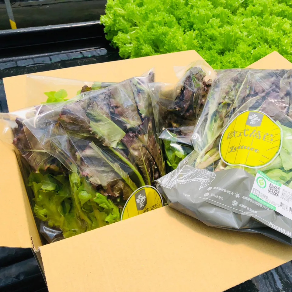 111 7 5無量暫停販售 大園青農 陳志弘 水野菜綜合箱 芝麻葉 貝比生菜 萵苣 青紫蘇 含運