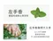 左手香皂200g｜素顏之本｜洗手｜洗臉｜洗澡｜清新｜香草植物｜舒適感｜香氛｜肥皂