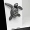 【QUALY】拯救海龜-磁鐵(三色)