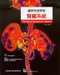 圖解快速學習腎臟系統(The Renal System at a Glance)