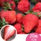 天藍果園-大湖草莓(20顆/2盒)★含運組★