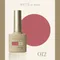 ARTiS di Voce 彩色甲油膠8g 012
