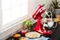 KitchenAid 抬頭式攪拌機 5QT