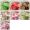 PR1695 太陽花印刷缎帶 15mm  (PR1695 FLOWER PRINT RIBBON 15mm )