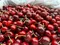 【零售】9.5R美國加州紅櫻桃｜Juicy Jewel 就是這 精品水果