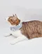 【among for pets】小花立領