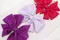 華麗金邊蝴蝶結 (Elegant Gold-Trimmed Bow)｜金色｜新年｜紅色｜裝飾｜緞帶用途｜春天｜深紫色｜淺紫色