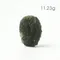 超光速粒子捷克隕石11.23g
