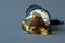 超光西藏隕石-連結天琴座及M87阿耶亞宇宙天使13.85g