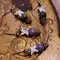 獨家製作/天然礦物 | 龍谷的祝福系列/吟遊的紫與綠/耳環