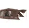 [  Coleman  ] 2026 New ! 達人2-ROOM COCOON限定版/達人系列 MASTER SERIES/CM-05305 │贈 CM-39095氣墊床
