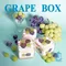 GRAPE BOX 雙色葡萄蛋糕盒子｜Juicy Jewel 就是這-甜點盒子