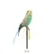 ARTIFICIAL BIRDS Budgie / GREEN