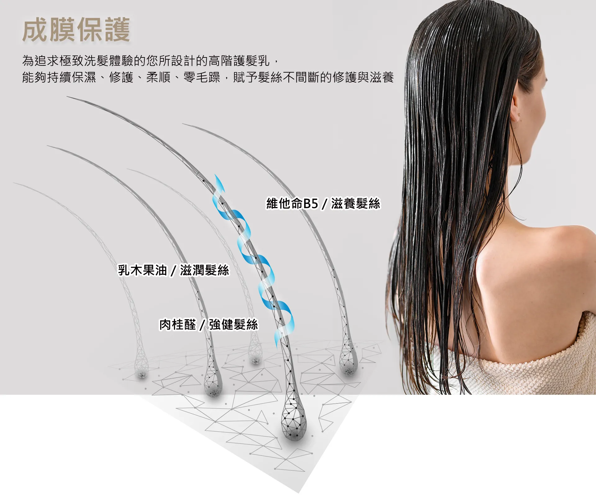 髮質成膜保護-量能護髮乳推薦