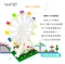 YouR 積木樂高-超微型積木系列- 摩天輪(Modeling Block Series-Ferris Wheel Modeling)
