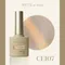 ARTiS di Voce 貓眼甲油膠8g CE107