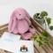 Jellycat 18cm-粉嫩粉 Bashful Tulip