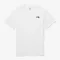 <部分現貨供應> THE NORTH FACE  COTTON BASIC S/S R/TEE 純棉基礎 LOGO 短袖  五色