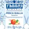 義大利 FABBRI Mixybar Peach Syrup 費布里璀璨果露-水蜜桃-1.3kg/1000ml