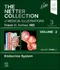 The Netter Collection of Medical Illustrations Volume 2: Endocrine System