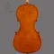 Andrea Schudtz (cello)（已售出）