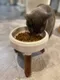 寵物商品／Inherent－Oreo Bowl2木頭碗架＋寬型陶瓷碗組合！新款推出！