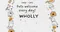 WHOLLY O-SPRAY 后力口健蜂膠噴劑