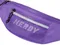 【21SS】 Nerdy 基本Logo雙層造形肩背包（紫）