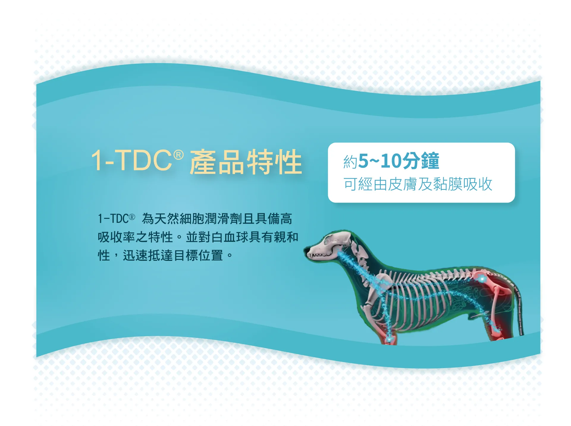 美國1-TDC一錠護(120粒/瓶)