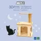 JIGZLE ® 3D-木拼圖- 貓咪樂園-靜態的貓
