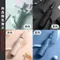 12骨超抗風自動開收黑膠傘